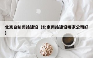 张掖北京自制网站建设（北京网站建设哪家公司好）