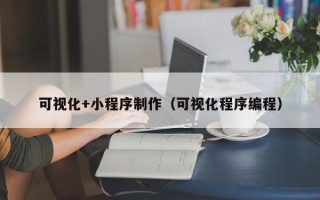 张掖可视化+小程序制作（可视化程序编程）